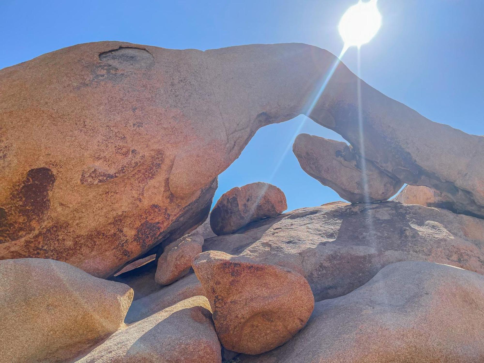 New Property! The Cactus Villas At Joshua Tree National Park - Pool, Hot Tub, Outdoor Shower, Fire Pit Туентинайн Палмс Екстериор снимка